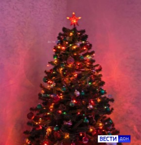 �� ���, 2026-� ����������� ������� � ���� �����