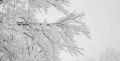 На Дону ожидаются мокрый снег, гололед и сильный ветер