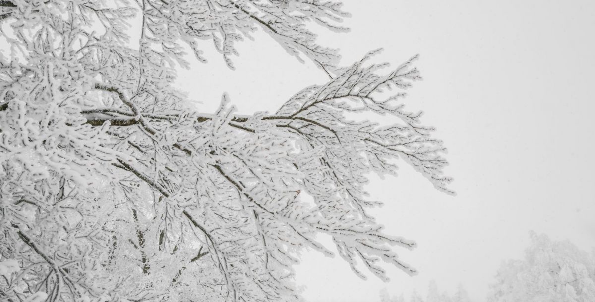 На Дону ожидаются мокрый снег, гололед и сильный ветер