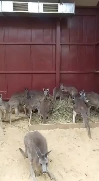 20 ������� �� ������� �������� � ���� �������� � ���������� �������