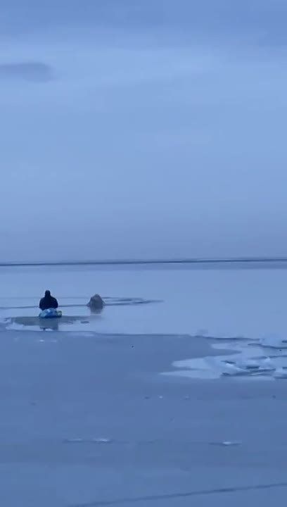 � ������������ ������ ������ ��������, ���������� �� ����