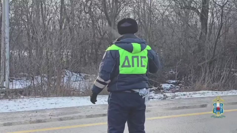 ������ �������� ������� � ���� ���������� � �������� ���