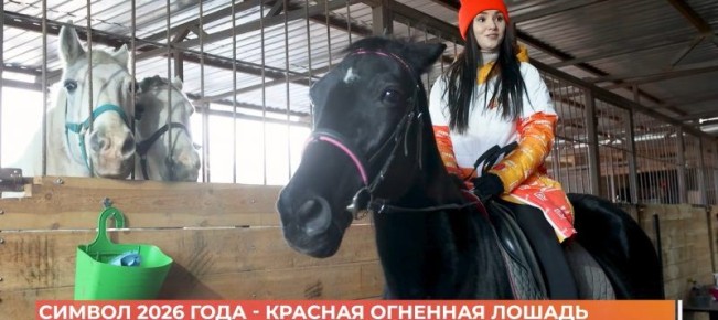 Символ 2026 года — красная огненная лошадь