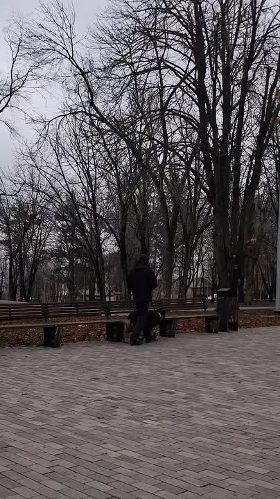 ��� ���������� � �������? ������������ ������� ���� �������� ���������� ���������� �� ���������� �������