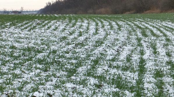 � ������� ��������������� ������� ��������� ������� ������