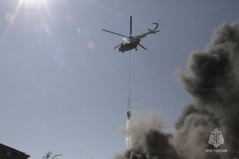 � 2025 ���� ��������� ��� ��������� ����� 250 �������