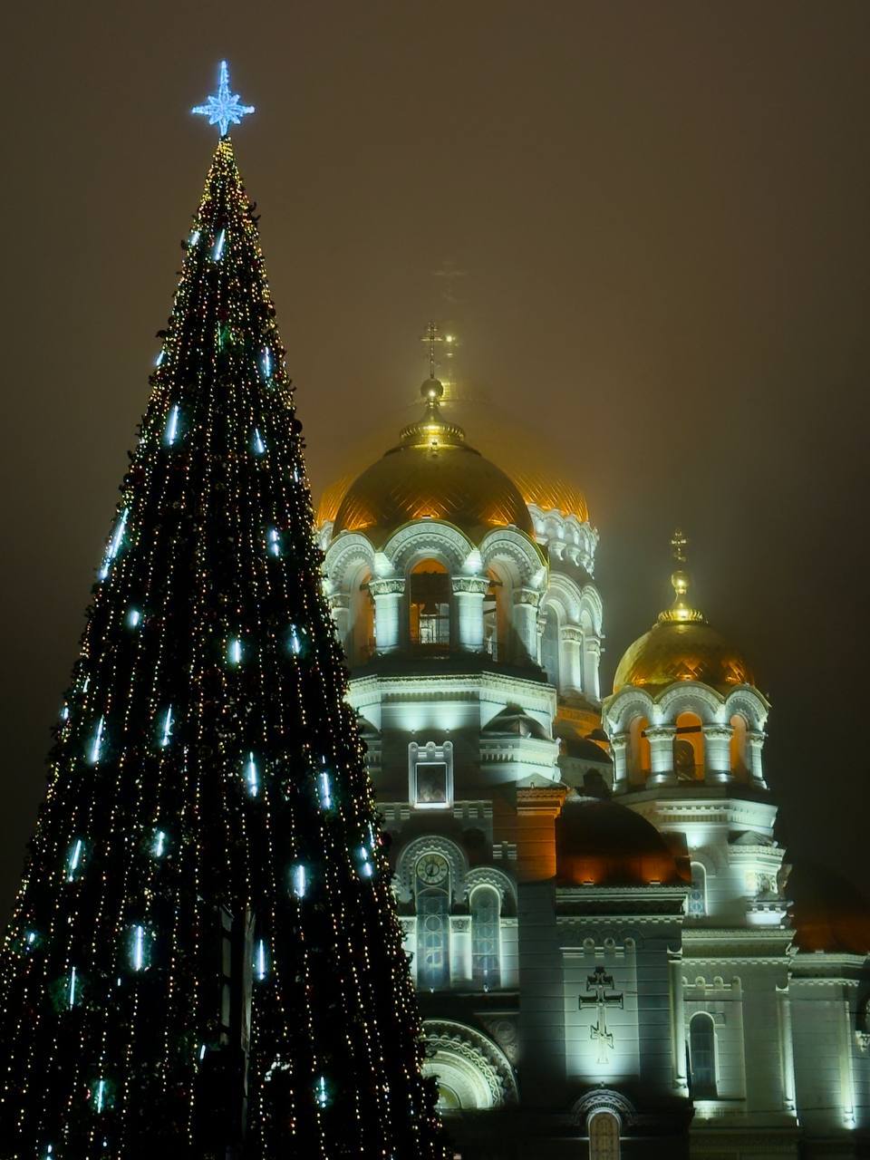 Дорогие жители Новочеркасска!