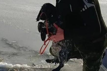 �� ������� � ����������� ������ ������ ��������