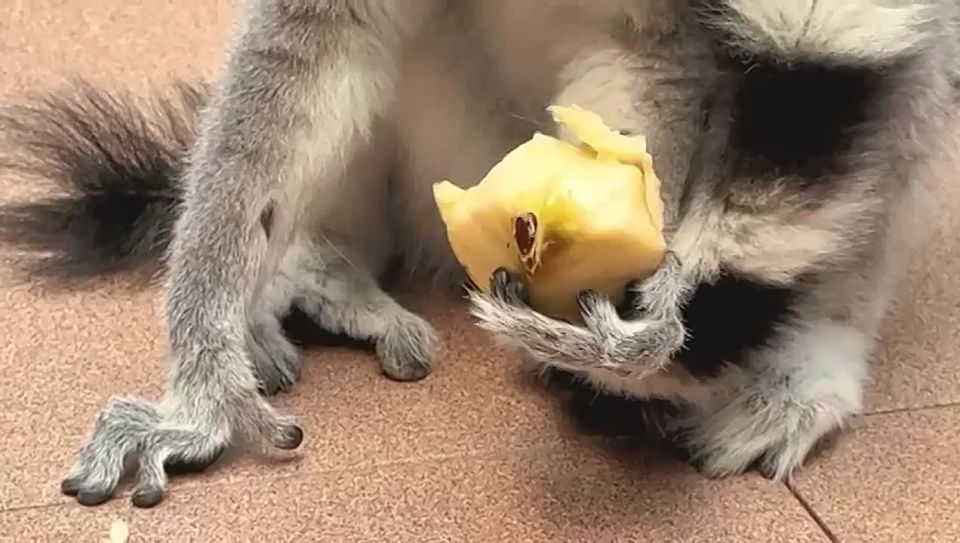 ����� �������� � ���������� �������� ������ ����� ������� ����������� �� ����������