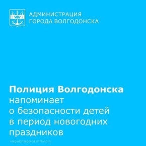 В период праздников полиция Волгодонска призывает родителей усилить контроль за детьми, особенно в вечернее и ночное время