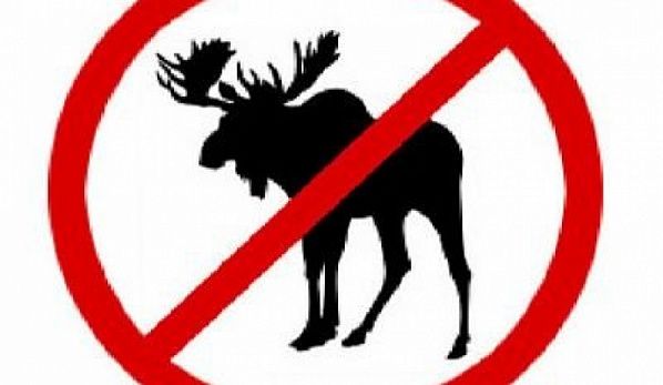 �� ���� ����������� ����� ����� �� ��������