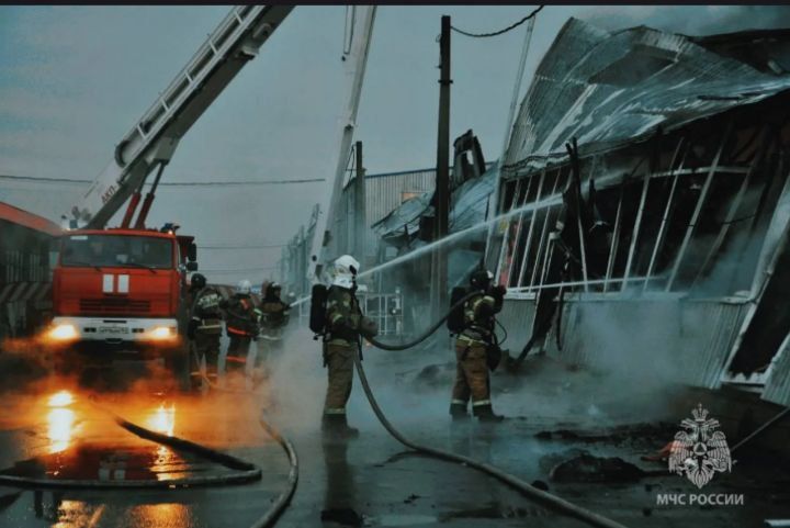 �� �������� ����� ��������� ��� �������������8 ����������� �������