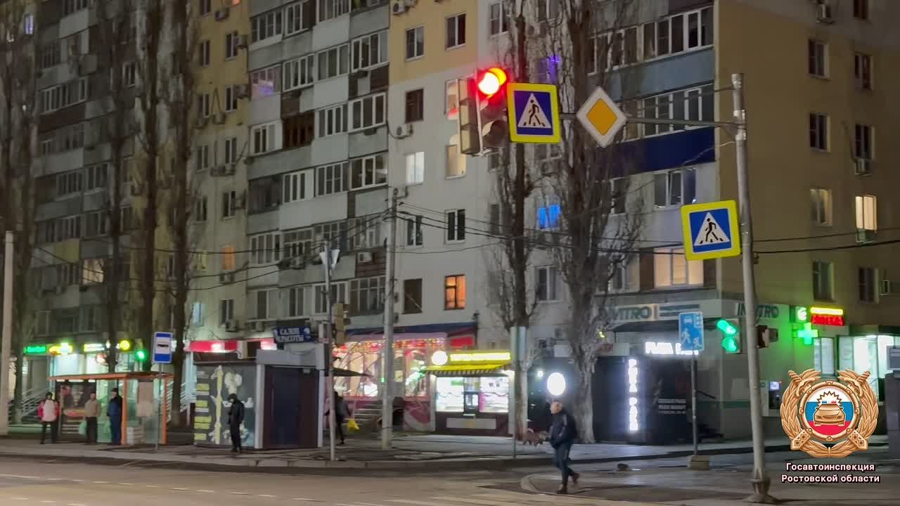 Ростовские полицейские устанавливают обстоятельства наезда на ребенка-пешехода