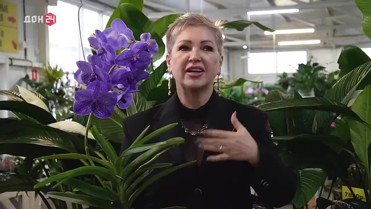 Орхидея-«борода», которую можно выращивать без горшка