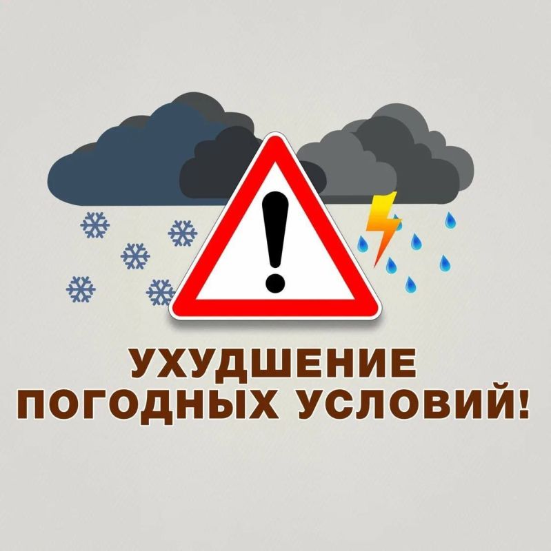 �������� �������������� �� 12 ������