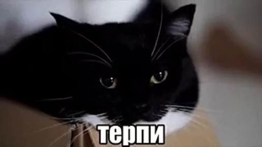 ��������� ���� � 12 �� 18 ������ 2026 ����: ��� ��� ���� � ������ ������� ������