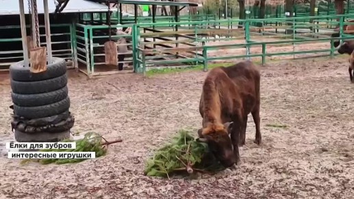 �������������� ���� �������� �� ���� �������� � ���������� �������