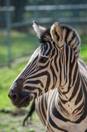 ����� ���� �� ����������� �������� �������� ���� ��������