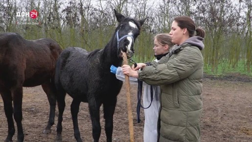 ���������� �������� �� ��������� ����