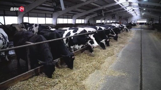 Автоматизация для буренок