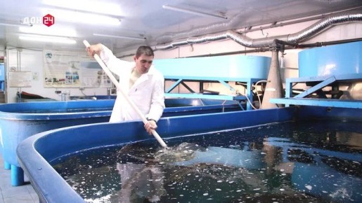 �������� ������������