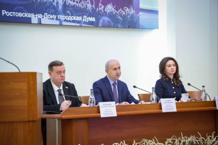 В Ростове изменили структуру общественной палаты города