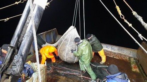 ��������� ���������� �������� �������� � �������� ����