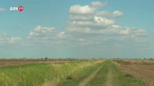 Внимание к каждому зернышку