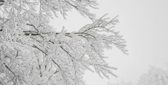 �� ���� ��������� ������� ���������