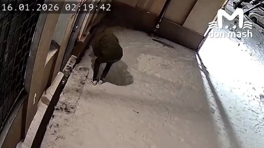 ������, ������, �������� �� ���������� � ��� �������� ���� ���� �� ����������� ����� �������� ������, ��������� ��������� �����������