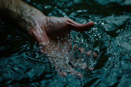 ���������� ���������: ������� �� 18 ������