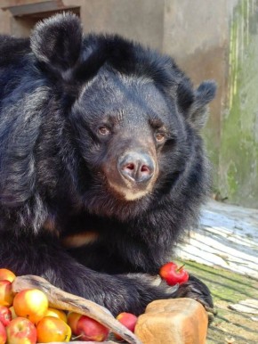 �� ���� � ���������� �������� ������������� 29-����� ����������� �������� ������ � ����