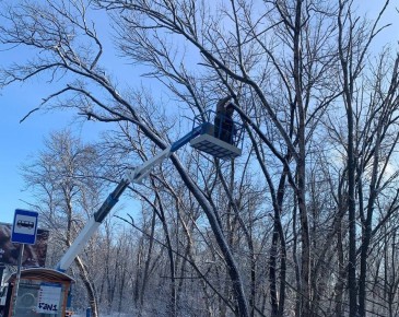 � ������� ������� ������� ����������� � ��������� �������