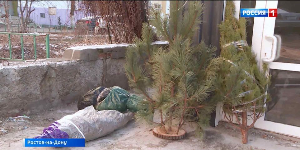 ������ ������ �� ����������� ���������� ������� ��������� � �������