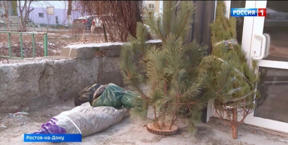 ������ ������ �� ����������� ���������� ������� ��������� � �������