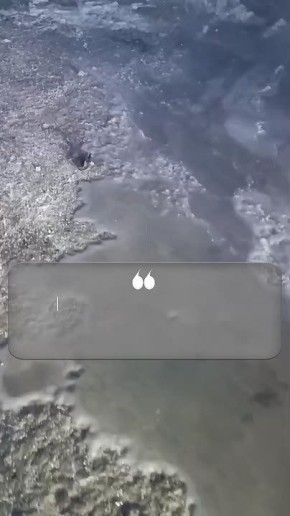 ��.�.��.: ��� ������� ������ ��������� �������� �� ������ � ������ �������