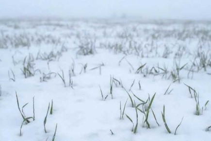 �� ���� ���������� ���������� ��������� ������� ������ �������