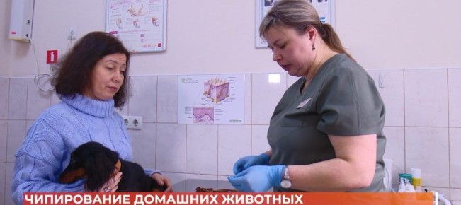 ����������� �������� ��������: ��� ���� � ��� ������