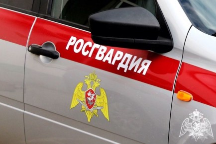 � ���������� ������� ������������ ��������� ���������������, ������������ � ����������� �������