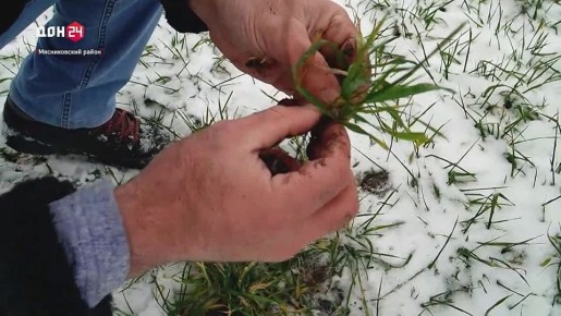 ����� �� ������� �����: ��� ������ ������� ���� ���������� �������