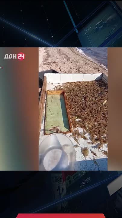 ��������� ���������� �������� �������� � �������� ���� � ������� ����