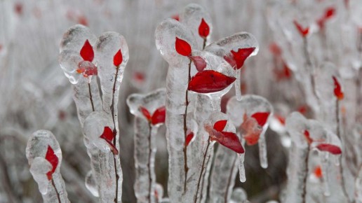 ������ �� ������ ������ - ������ ����� ���������� ����������