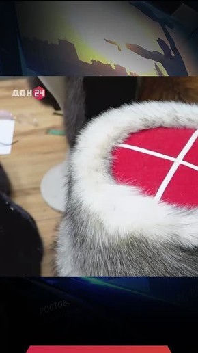 ��� ��������� ��������� �� ������� ������?