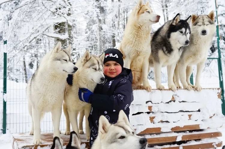 «Мы не знаем, сколько у нас времени»: родители мальчика с миодистрофией Дюшенна ищут деньги на самое дорогое лекарство в мире