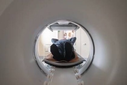 ����������� ����� � ������ ����������� ������ 25 ��� ����� ������ ���������