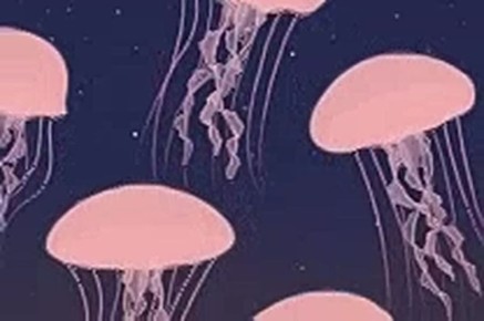 ��� ������ �� ��������� ���� ����� ����� ����� ������� ���������