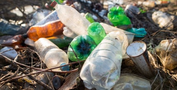 В Батайске по требованию прокуратуры убрана свалка