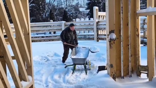 «Вы нам снег принесите!»: В ростовском зоопарке слоны устроили себе зимние игры