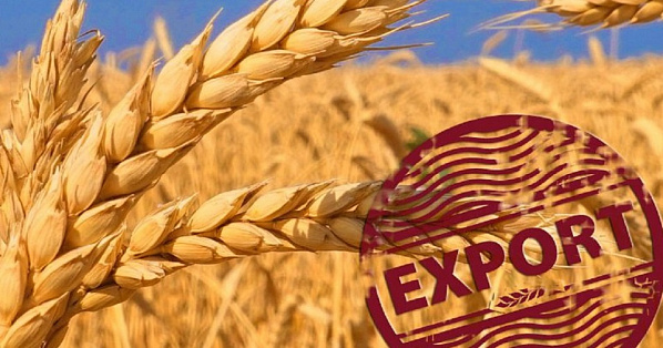 Федеральный Минсельхоз не стал пересматривать план экспорта сельхозпродукции, определенный на 2026 год для Ростовской области