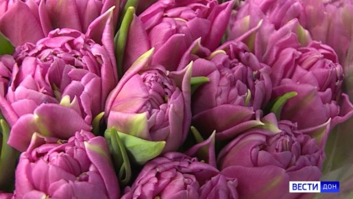 Кредит под предлогом доставки цветов: юная ростовчанка стала жертвой мошенников